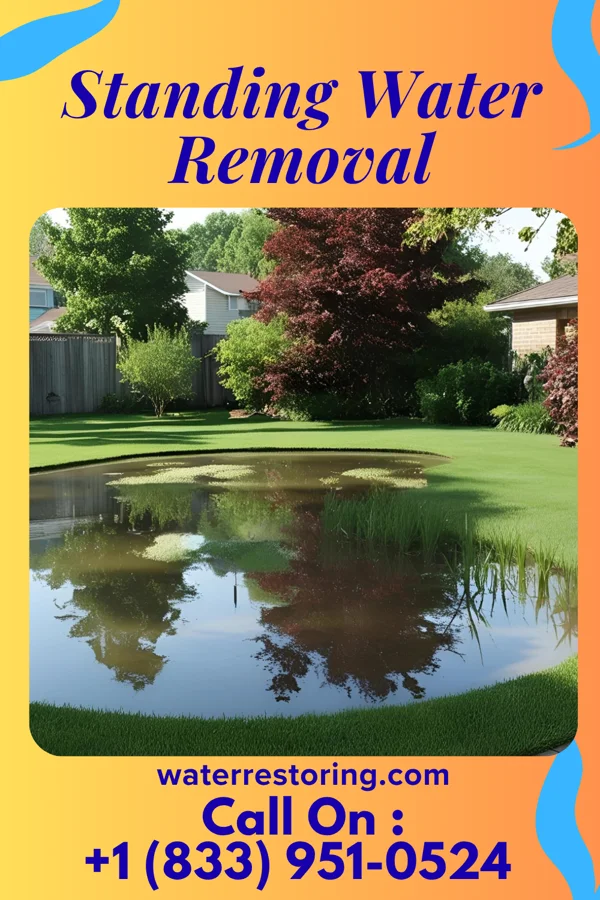 Standing Water Removal in Kemah, TX